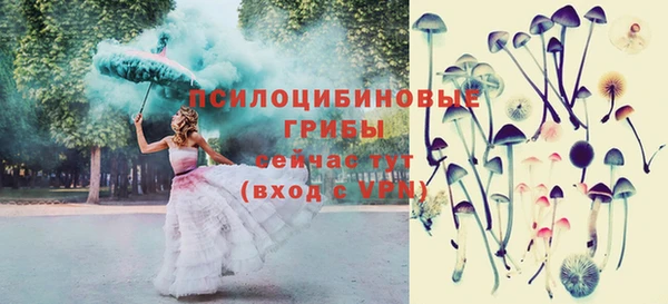 герыч Няндома