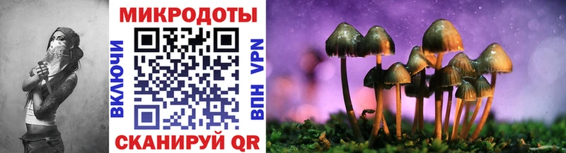 площадка формула Шарья Псилоцибиновые грибы мицелий