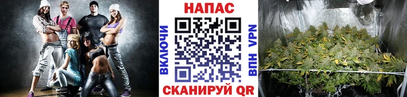 дарнет шоп  Шарья  Бошки Шишки SATIVA & INDICA 